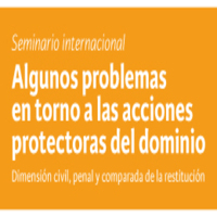Seminario Internacional: Algunos problemas en torno a las acciones protectoras del dominio: Dimensión Civil, Penal y comparada de la Restitución