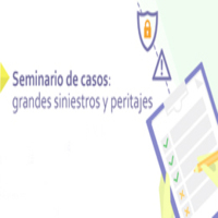 Seminario de Casos: Grandes siniestros y peritajes