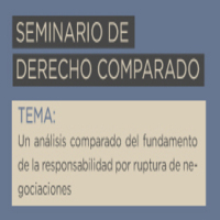 Seminario de Derecho Comparado: Un análisis comparado del fundamento de la responsabilidad por ruptura de negociaciones