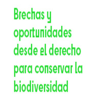 Coloquio Virtual: Brechas y Oportunidades desde el Derecho para Conservar la Biodiversidad