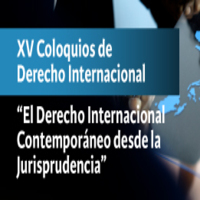 Convocatoria de ponencias: XV Coloquios de Derecho Internacional: El Derecho Internacional Contemporáneo desde la Jurisprudencia