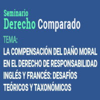 Seminario de Derecho Comparado: La Compensación del Daño Moral en el Derecho de Responsabilidad Inglés y Francés. Desafíos Teóricos y Taxonómicos