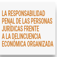 Seminario: La responsabilidad penal de las personas jurídicas frente a la delincuencia económica organizada