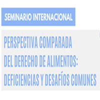 Seminario Internacional Perspectiva Comparada del Derecho de Alimentos: Deficiencias y Desafíos Comunes