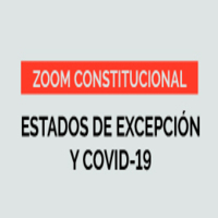 Zoom Constitucional: Estados de Excepción y Covid-19