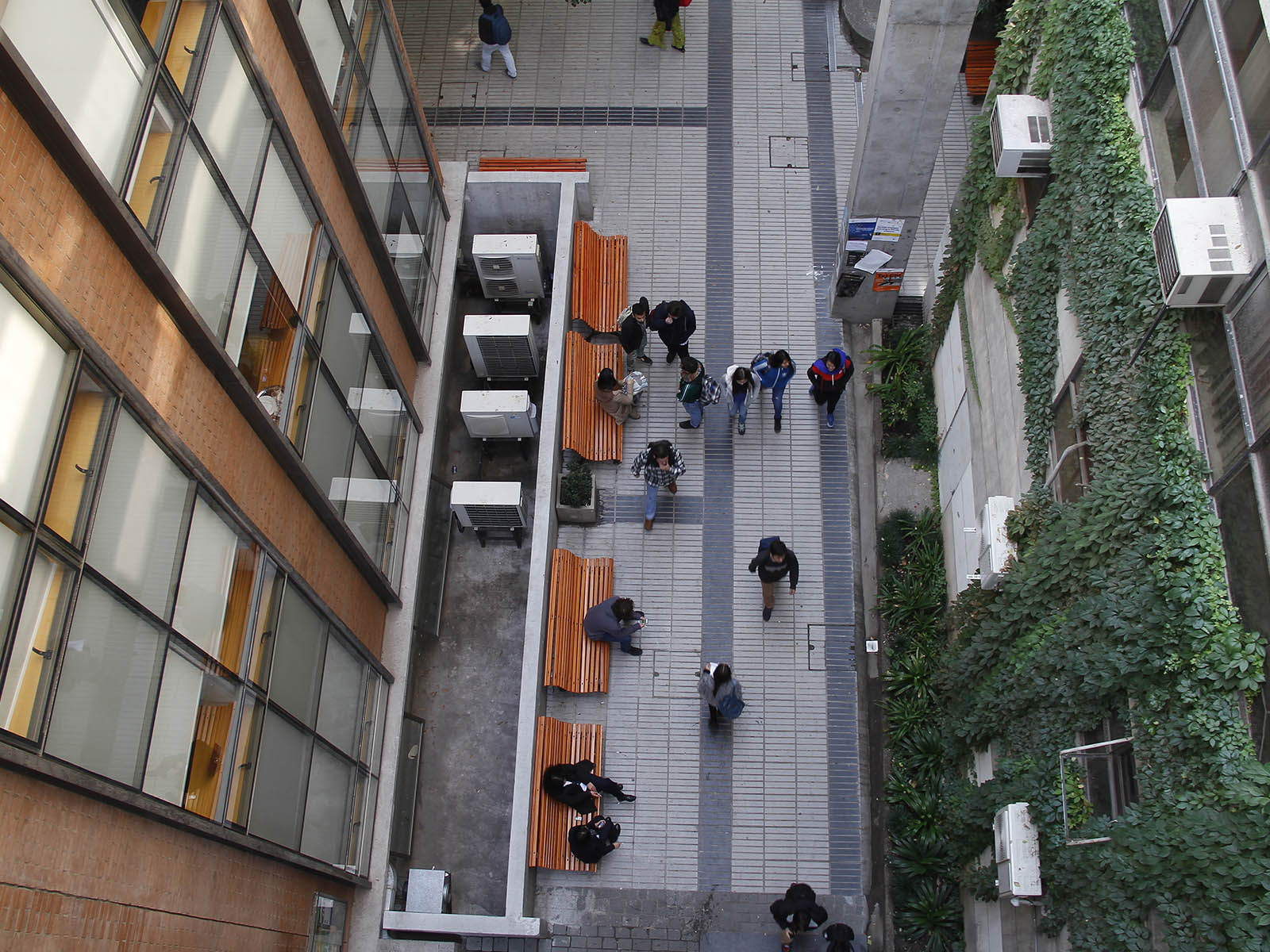 planta especial copia